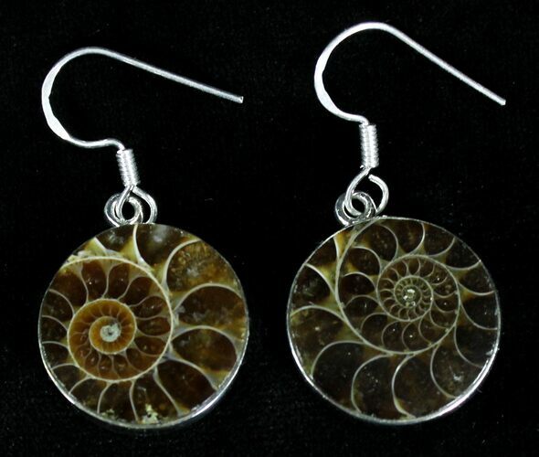 Fossil Ammonite Earrings - Sterling Silver #21076